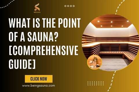 What is the Point of a Sauna